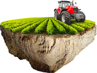 Web App Development for Agricultural Company